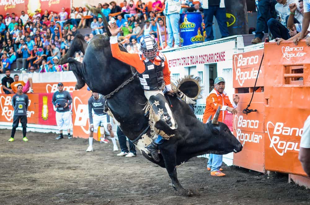 Costa Rica Zapote Bullfighting Festival