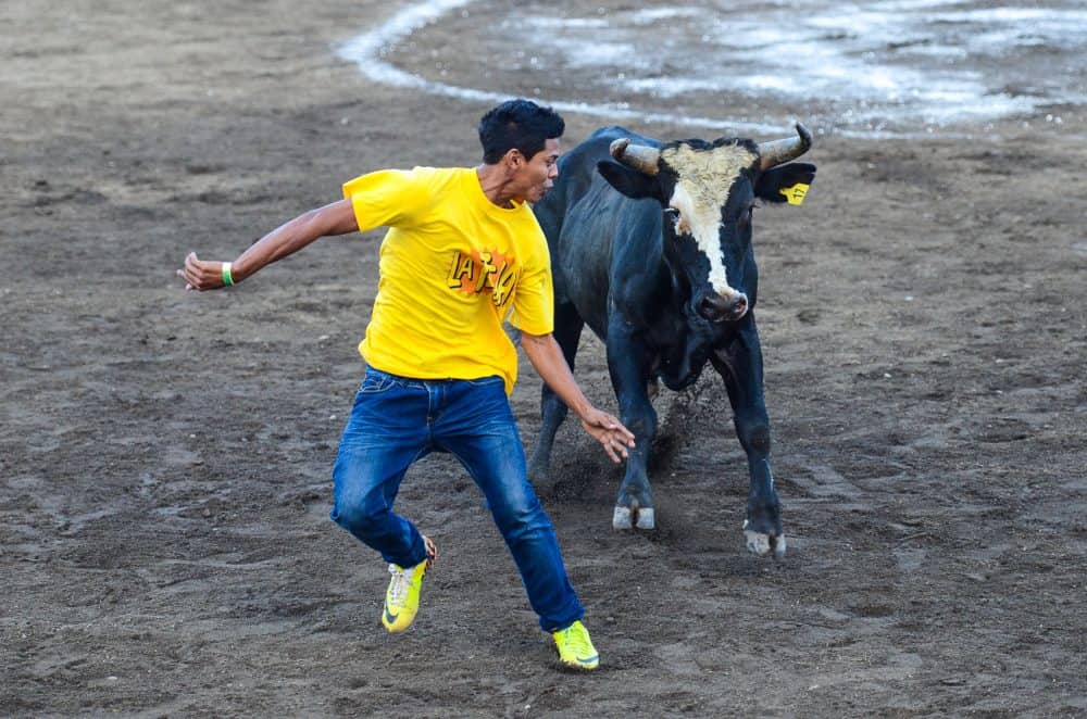 Costa Rica Zapote Bullfighting Festival