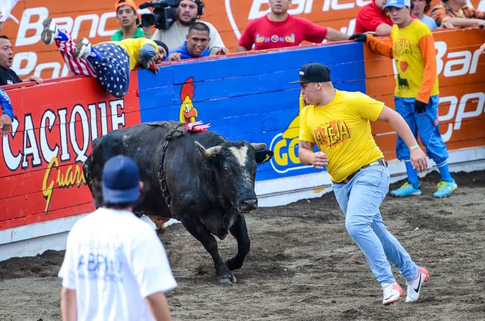 Costa Rica Zapote Bullfighting Festival