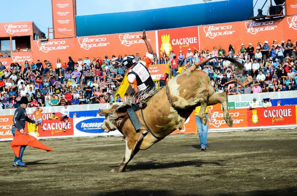 Costa Rica Zapote Bullfighting Festival