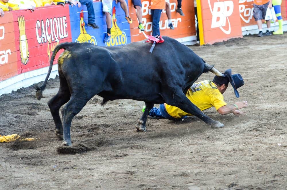 Costa Rica Zapote Bullfighting Festival