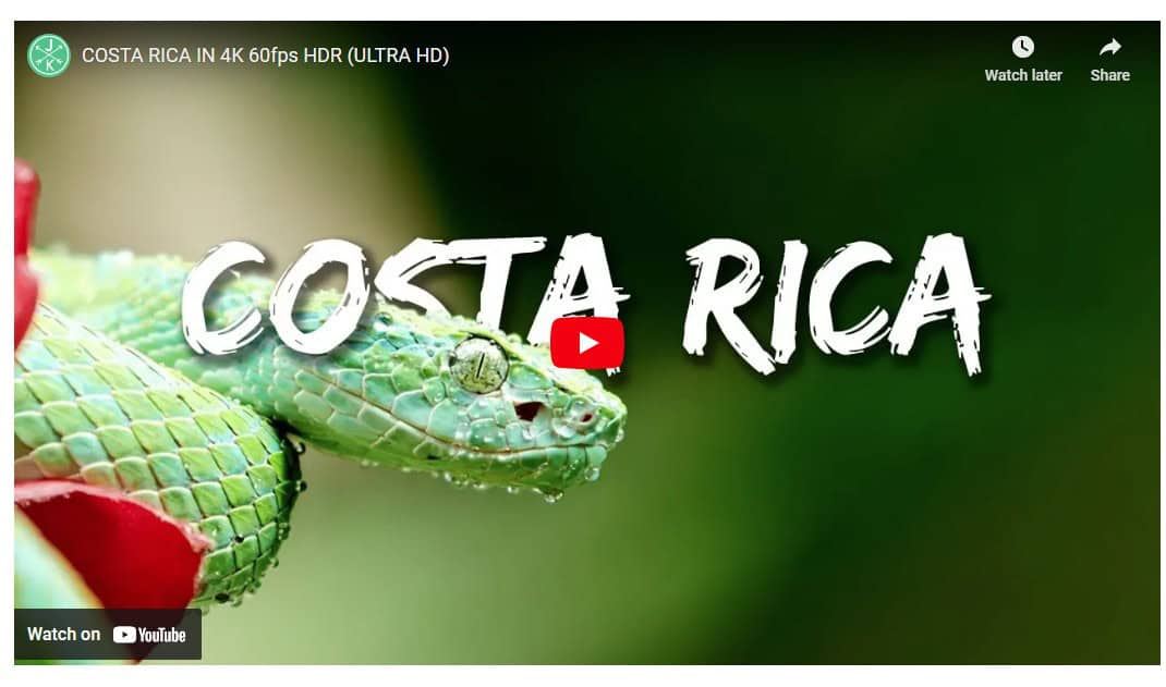 Costa Rica Wildlife Video