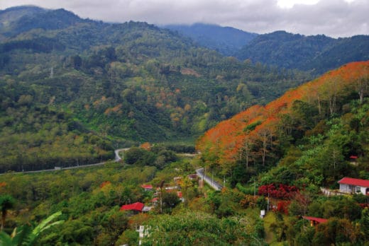 Costa Rica on a budget: Three cheap vacation destinations