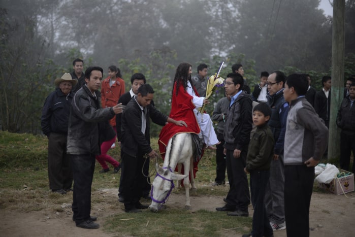 A white burro carries a wooden replica of Jesus down a path in the woods.