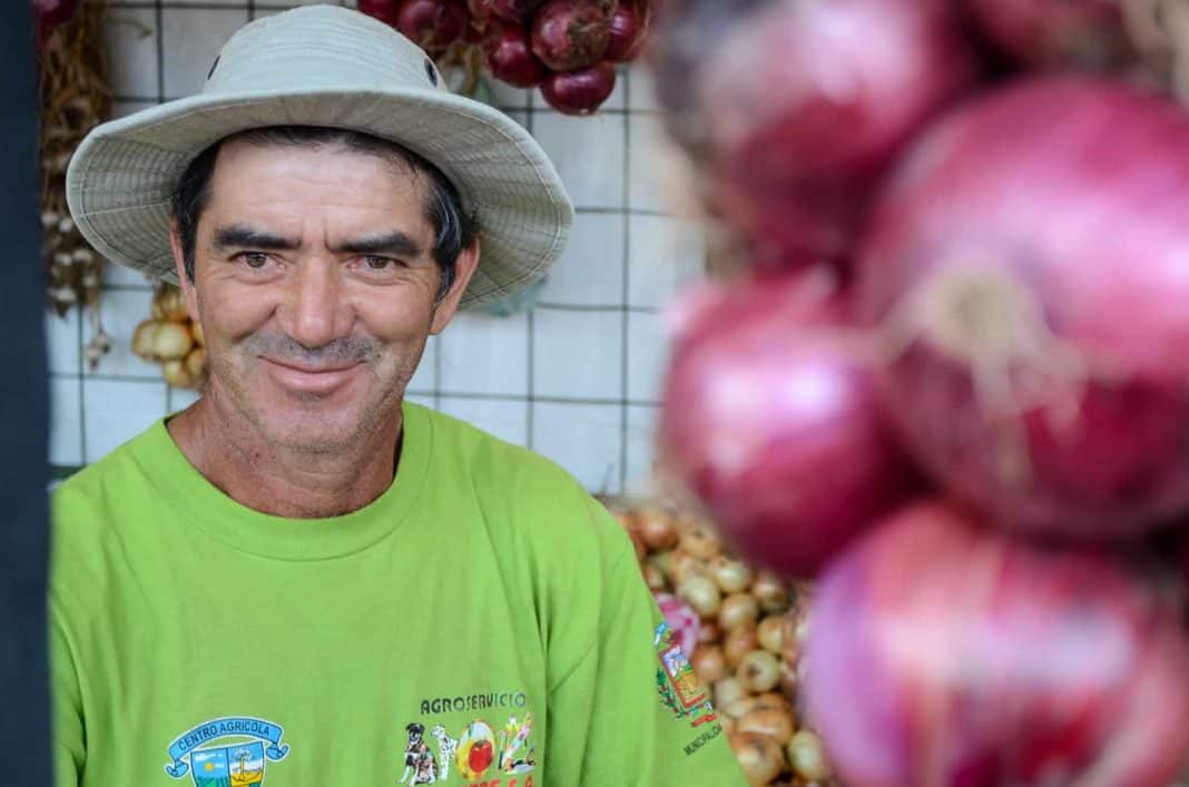 Meet the farmers at this year's Onion Festival
