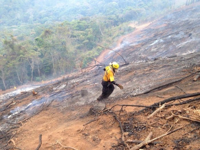 Forest fires burn more than 2,000 hectares in Guanacaste