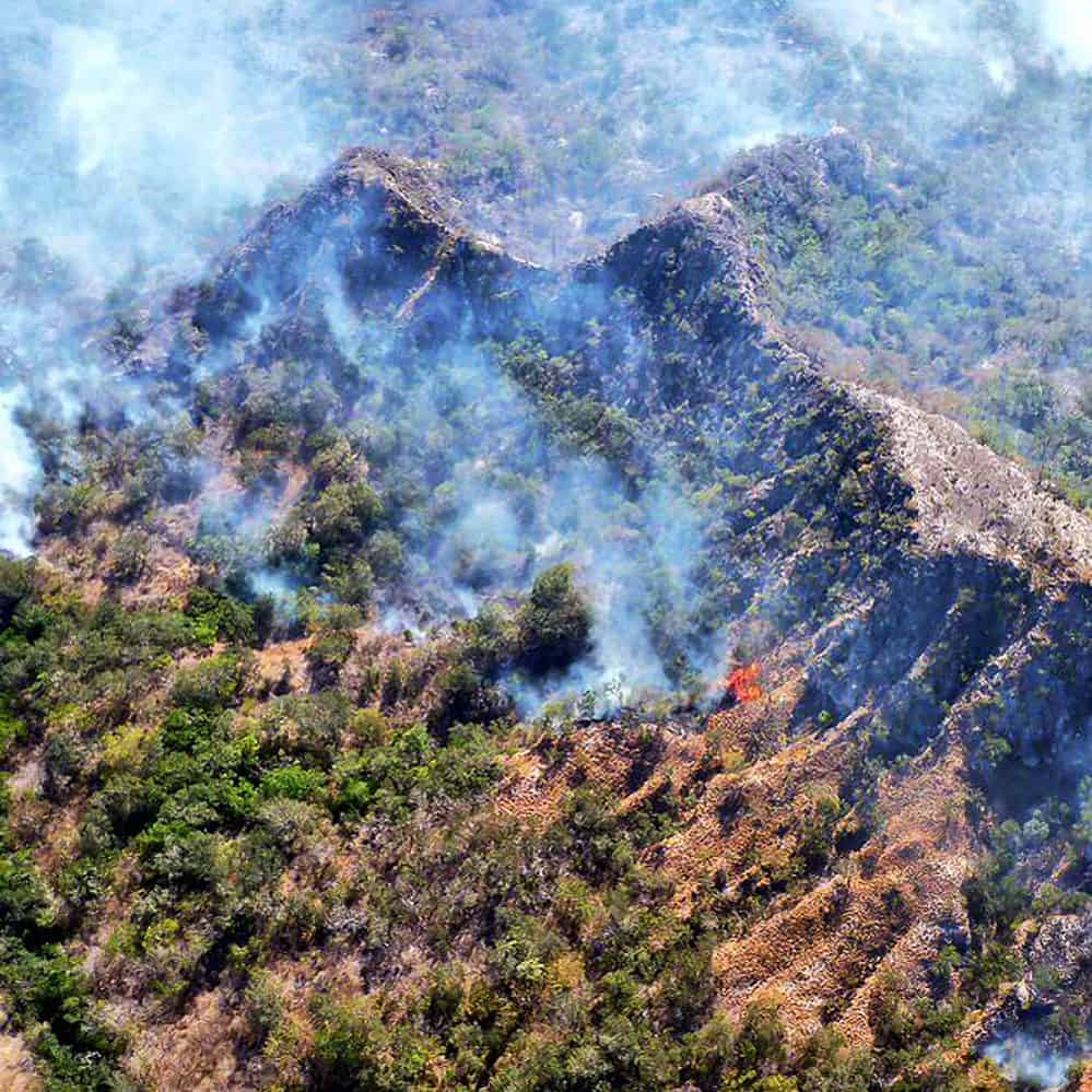 More than 500 hectares of protected areas destroyed by wildfires this