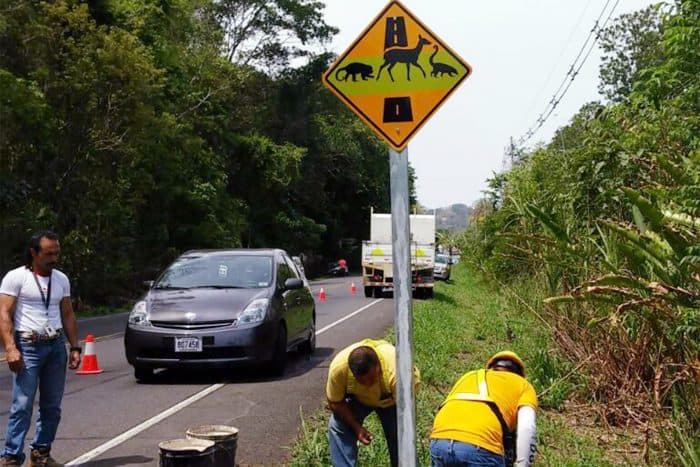 Costa Rica wildlife crossing sign