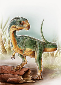 the newest species of theropod.