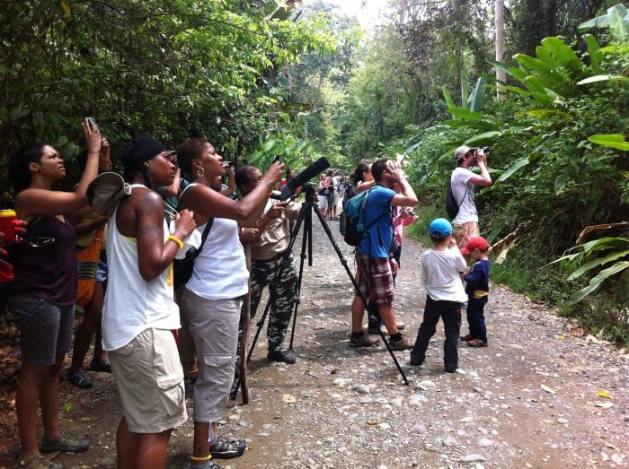 Wildlife Spotting in Costa Rica at Manuel Antonio National Park