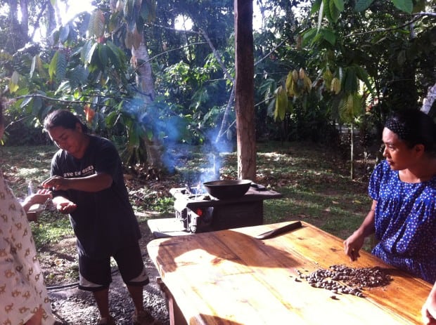 Samples of roasted cocoa in Costa Rica