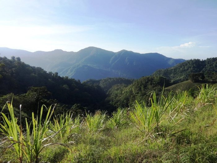 View from a finca in La Lira de Pramo, southern Los Santos District