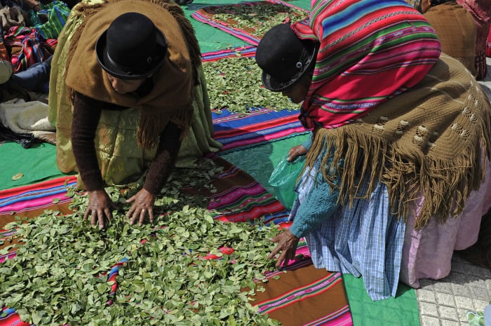 Aymara women sell coca leaves during the celebration of the national day of "acullico" -- the practice of coca chewing -- at the Villaroel square in La Paz, Bolivia.