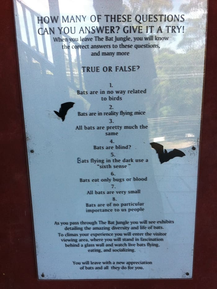 The bat quiz at the entrance of the Bat Jungle.