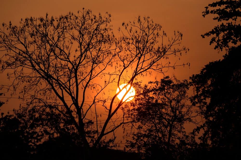 Costa Rica Sunset in Los Chiles,