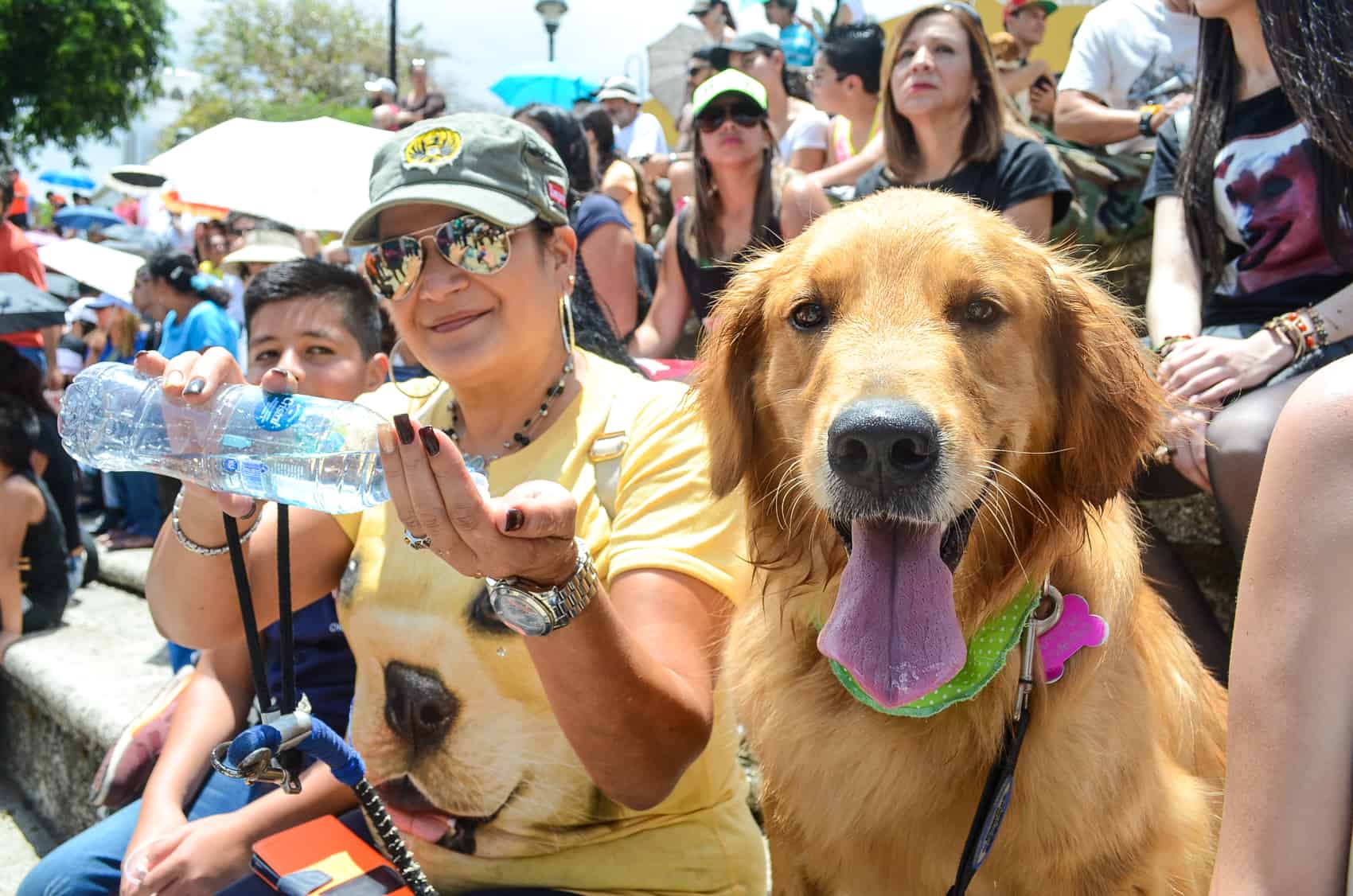 A dog poses for a picture before getting some water to quench its thirst at the 7th National March Against Animal Abuse in San José, May 10, 2015.