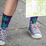 Cannabis culture at the Marijuana legalization