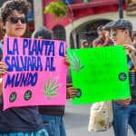 "The plant that would save the world" and benefits of the plant like paper, fuel, food, medicine and textiles at the Marijuana legalization march in San José, May 09, 2015.