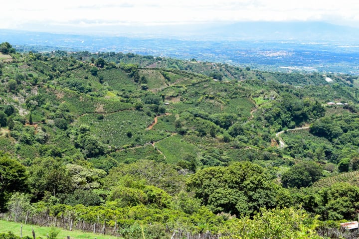 A view of Naranjo Costa RIca, a well-known producer of the best coffee 