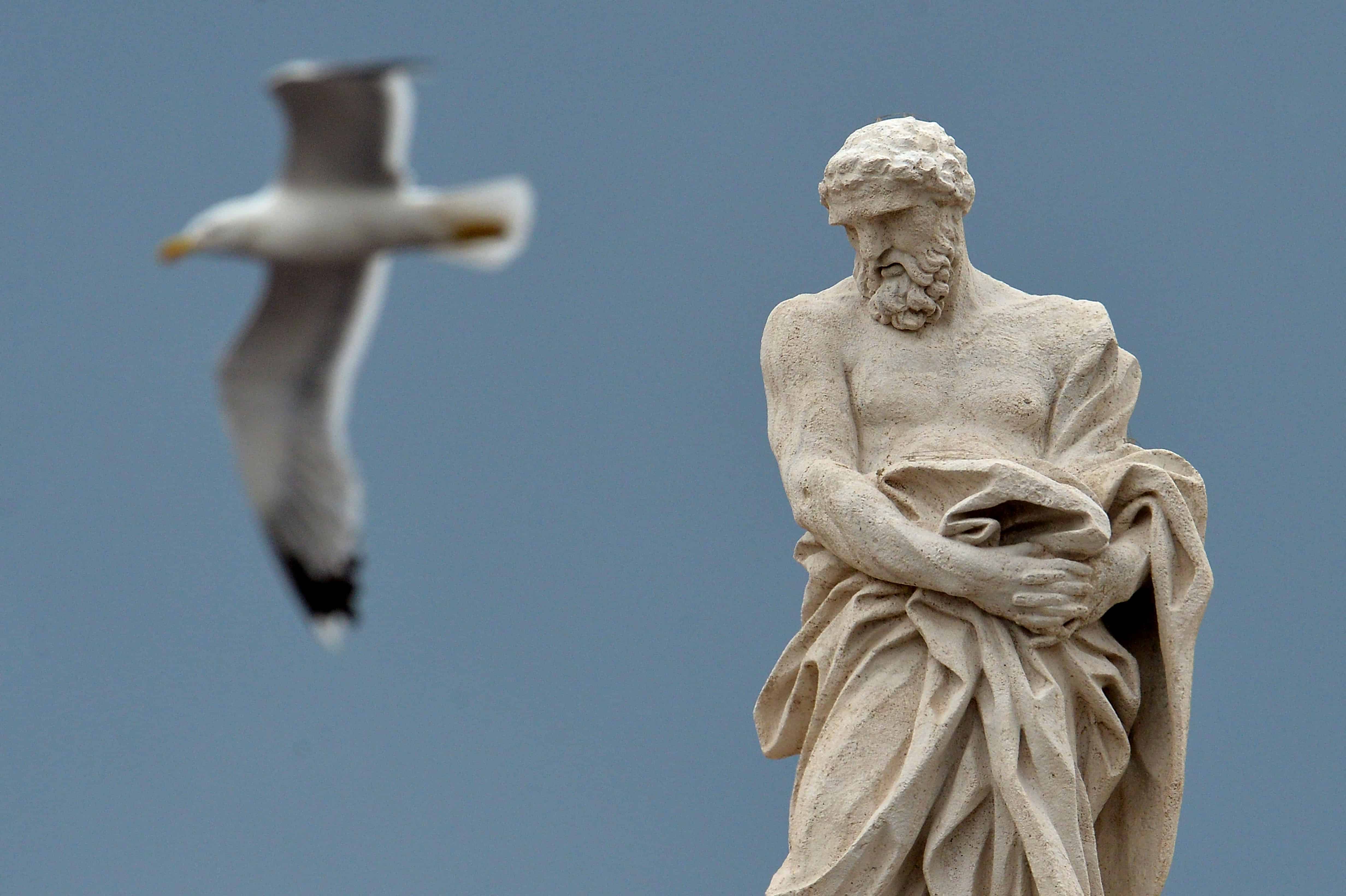 A seagull flies past a statue at St. Peter's Square.