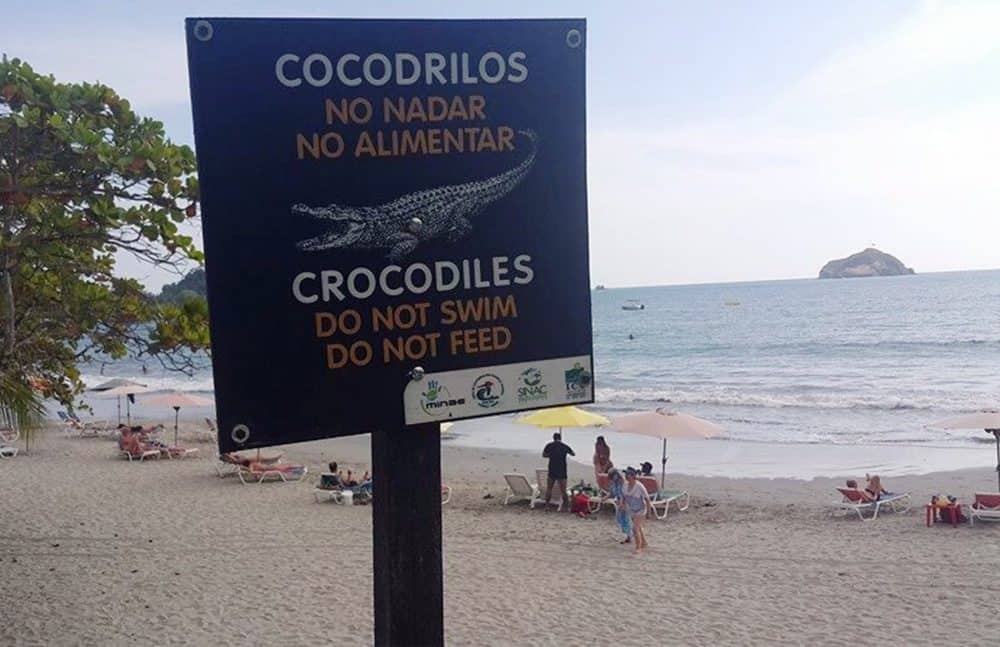 Crocodile warning signs