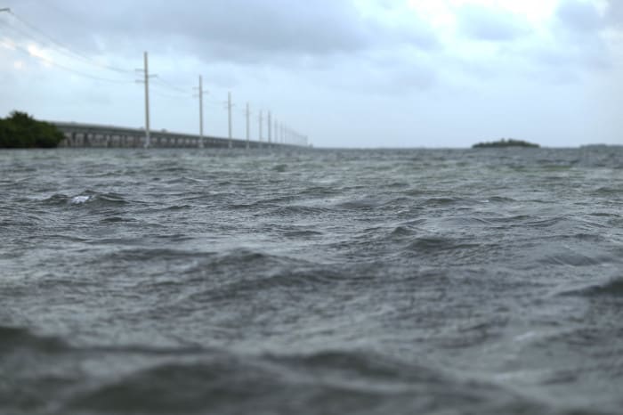 The murky waters of the Florida Keys.