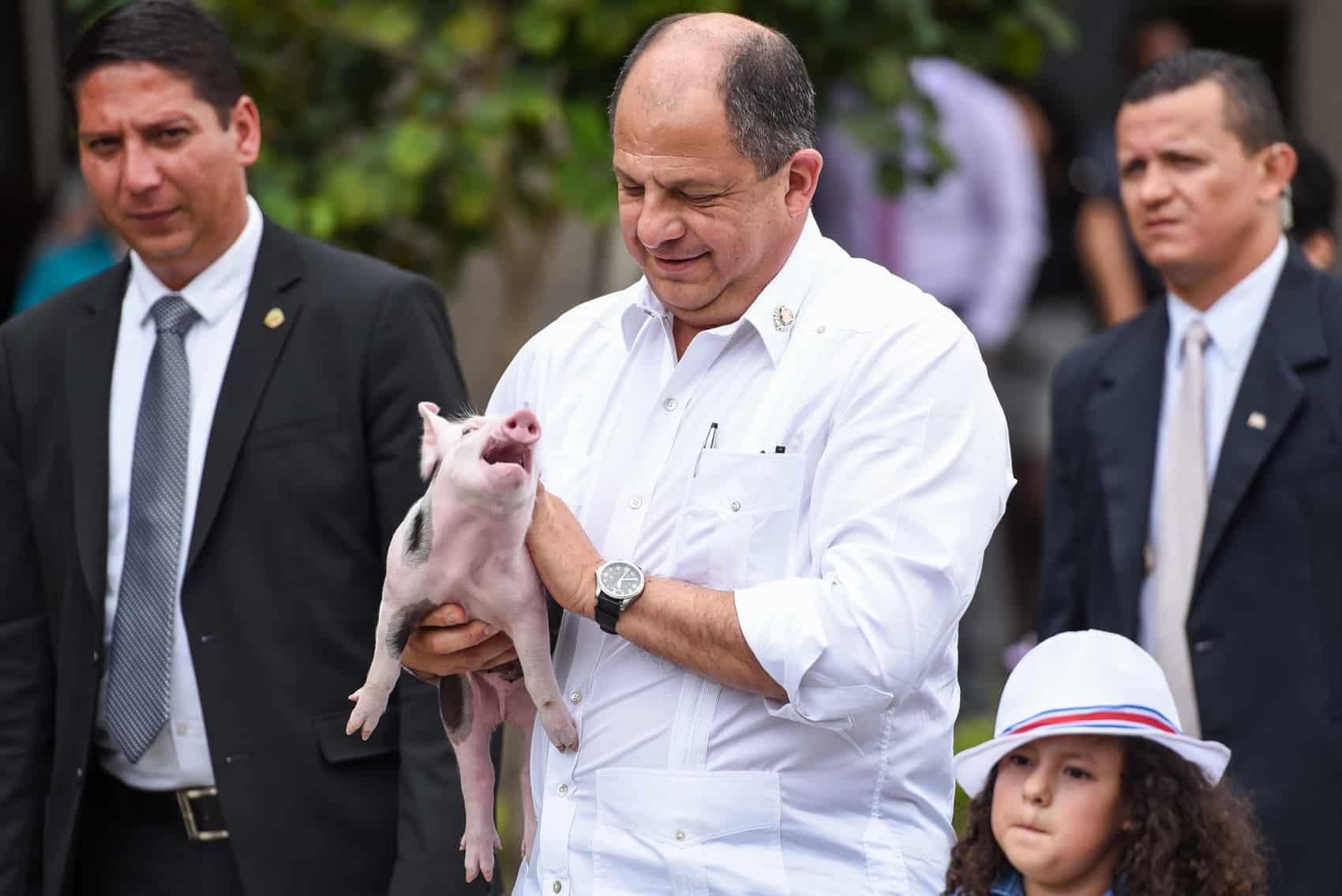 Daniela, the president's new pet pig.