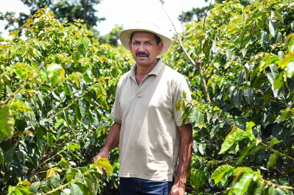 Costa Rica’s Best Coffee Comes From This Hillside In Alajuela