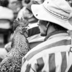 A rooster goest to mass with his owner.