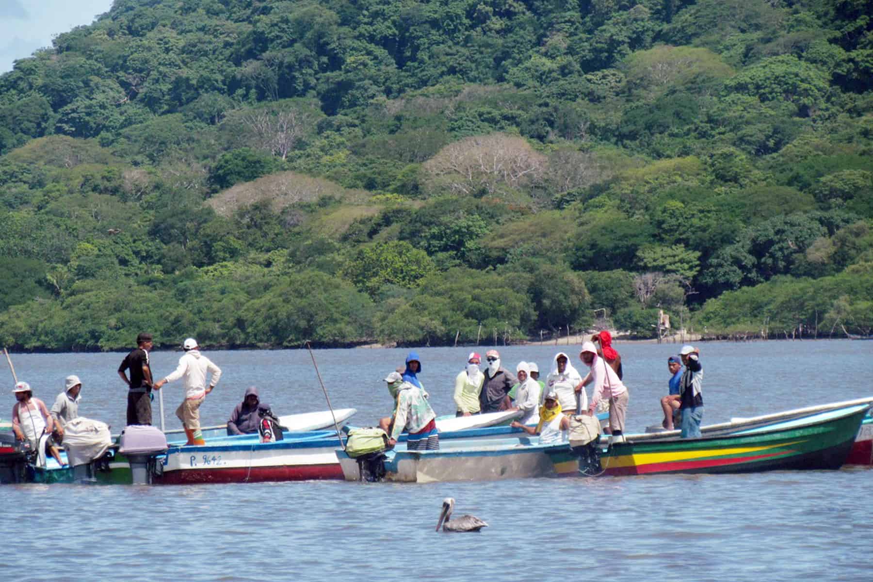 Illegal fishing lines at Puntarenas