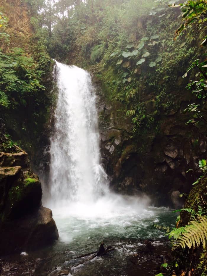 La Paz Waterfall Gardens is the most visited private park in Costa Rica.