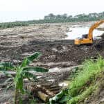 Large areas of a banana plantation were destroyed after the Matina River flooded last weekend.