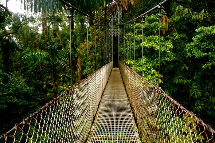 Arenal Hanging Bridges is a high-altitude stroll through the canopy ...