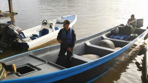 Costa Rican police arrest 3 for harpooning sea turtles