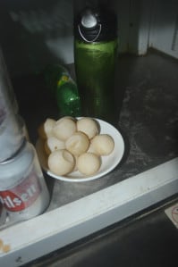 Olive ridley sea turtle eggs are kept refrigerated at Las Brisas del Pacífico bar in Playa Ostional, Guanacaste.