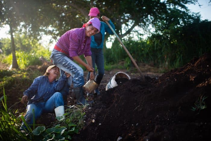 Three field workers laugh after, Maria Julia Hernandez, 44, fell down.