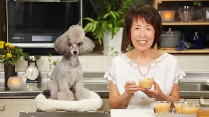Francis the toy poodle of "Cooking with Dog" and his co-star, "Chef."