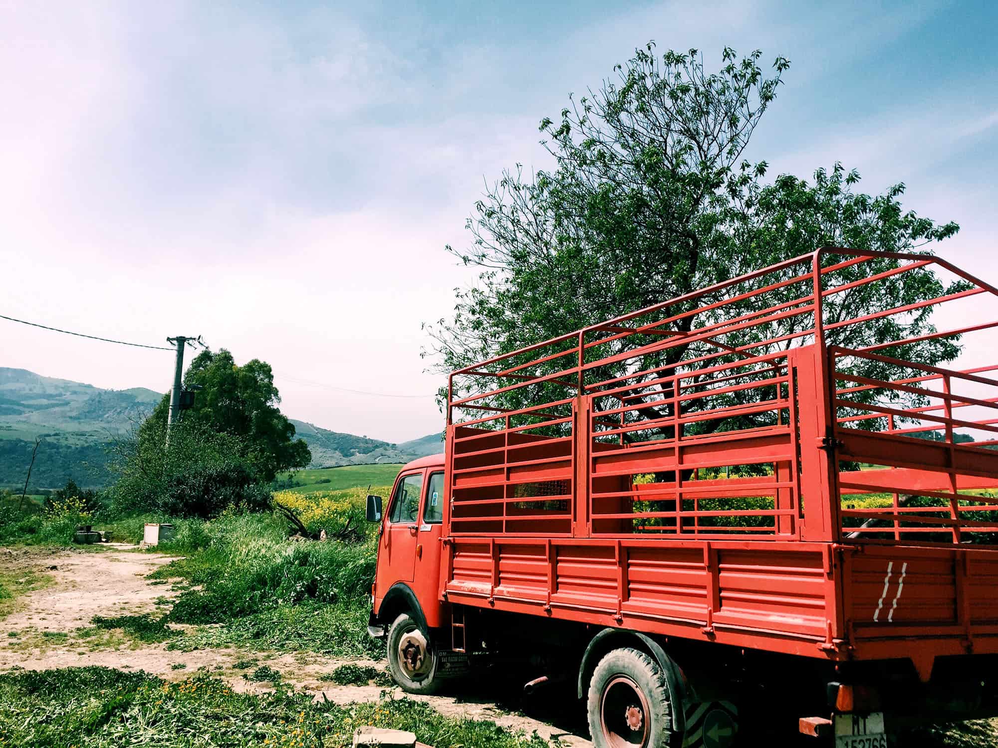 A truck on the farm that supplies much of the Palazzo Margheritaís produce.