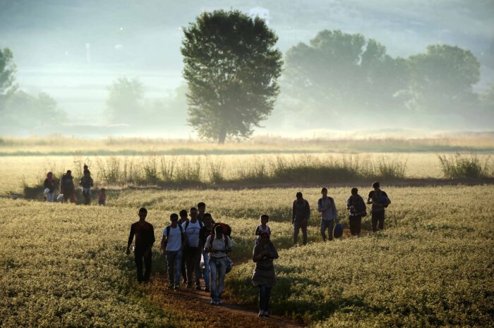Migrants walk through a field to cross the border from Greece to Macedonia near the Greek village of Idomeni on Aug. 29, 2015.