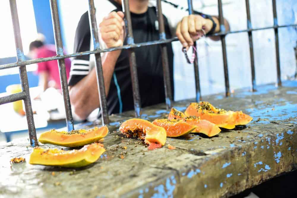 Prisoners are fed rotten papaya at La Reforma prison.