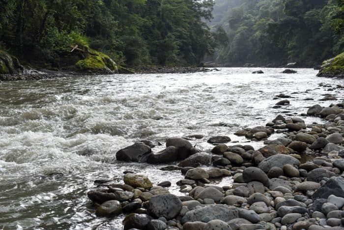 The Pacuare River is ideal for rafting because of its length, gradient, cleanliness, temperature, scenery — and never-ending rapids, from washboard ripples to Class IVs.