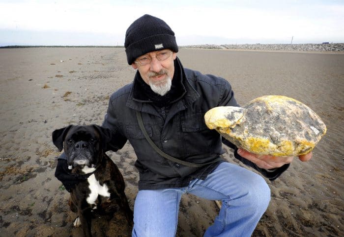 A photo from Jan. 28, 2013, in Morecambe, northwest England, shows Ken Wilman posing for pictures with his dog Madge and a yellowish stone which he hoped is a rare form of whale vomit, or ambergris. 