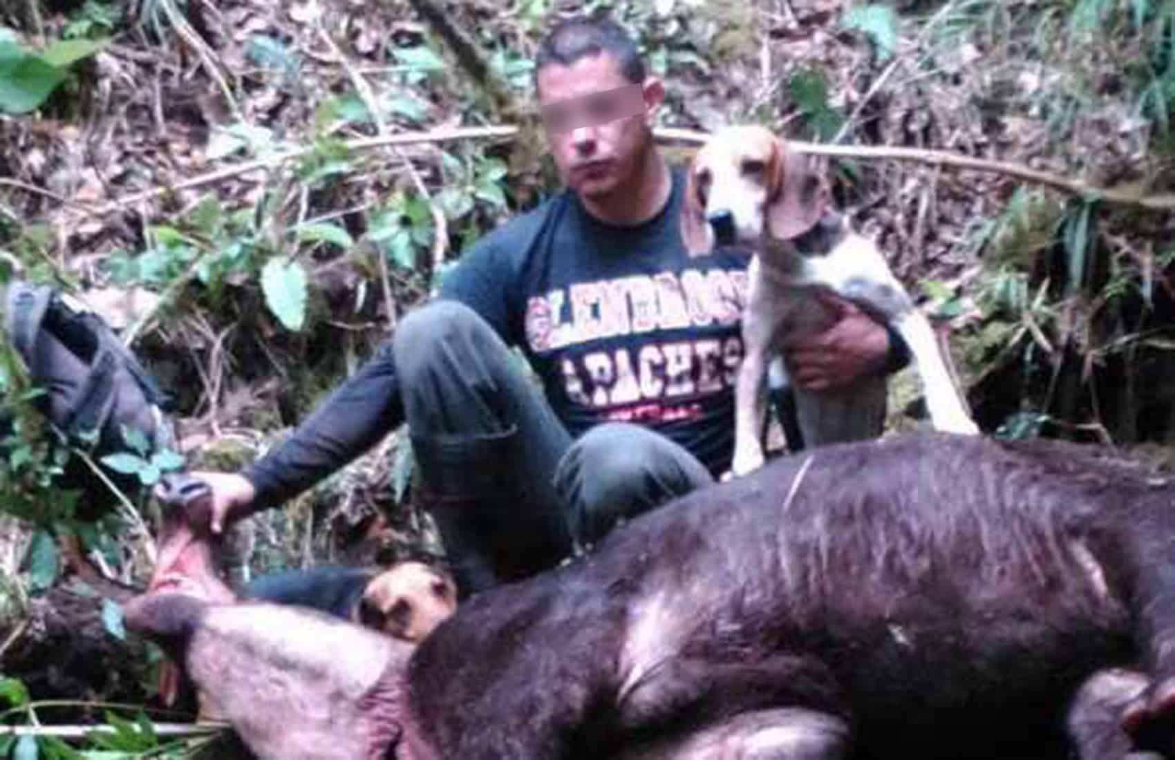 A poacher poses with a dead tapir.
