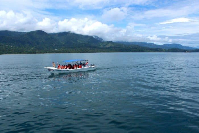 Sea Shepherd whale watchers