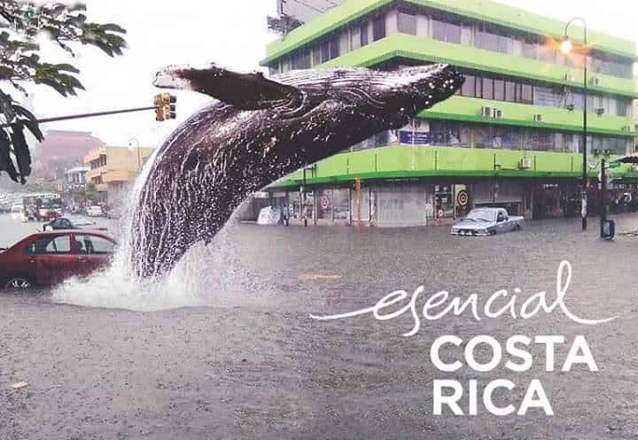 Costa Rica memes: Esencial Costa Rica