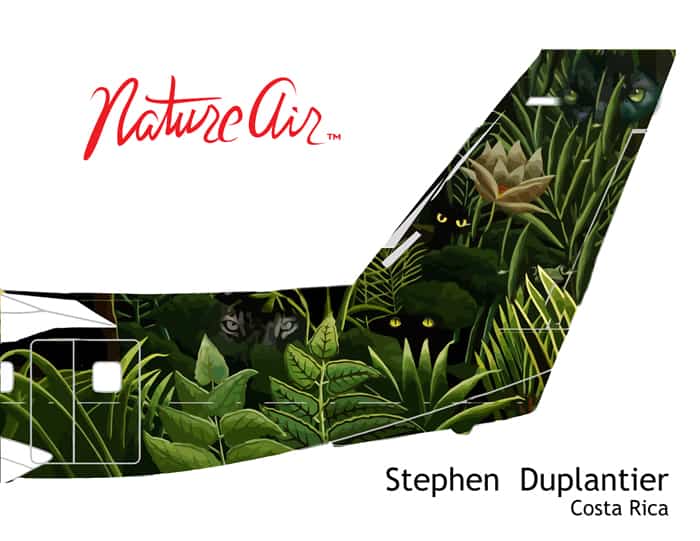 Stephen Duplantier's plane tail design