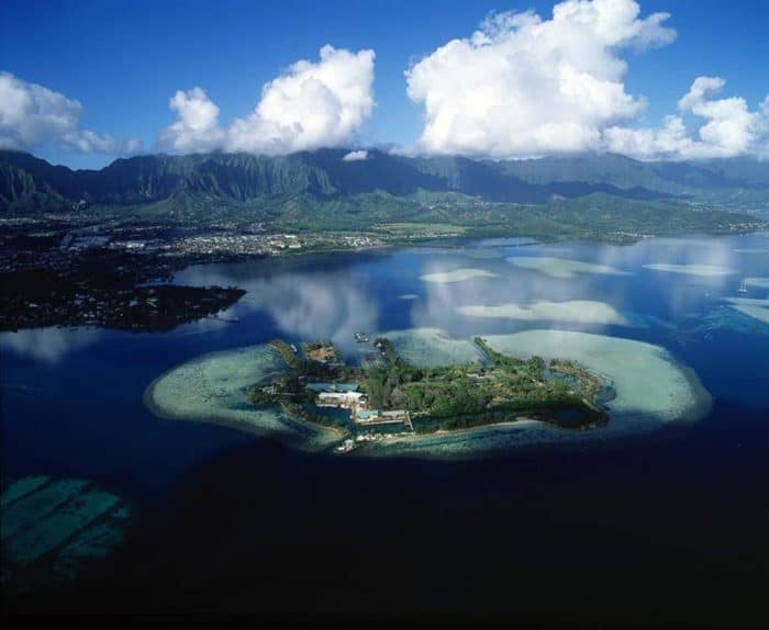 reefs around Coconut Island, Hawaii