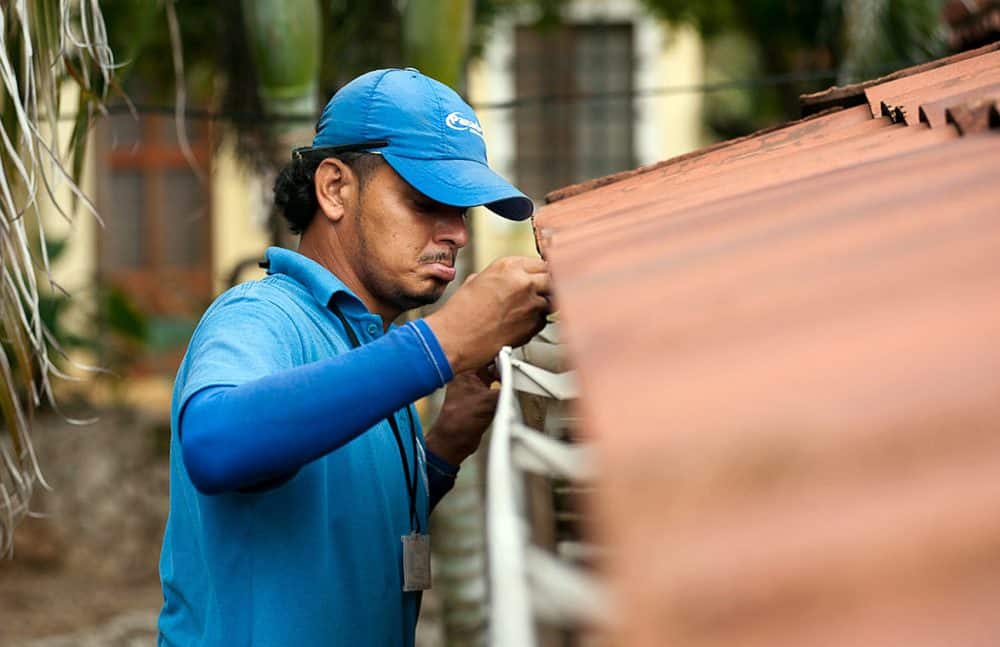 Concerns Rise Over Dengue Spread in Costa Rica