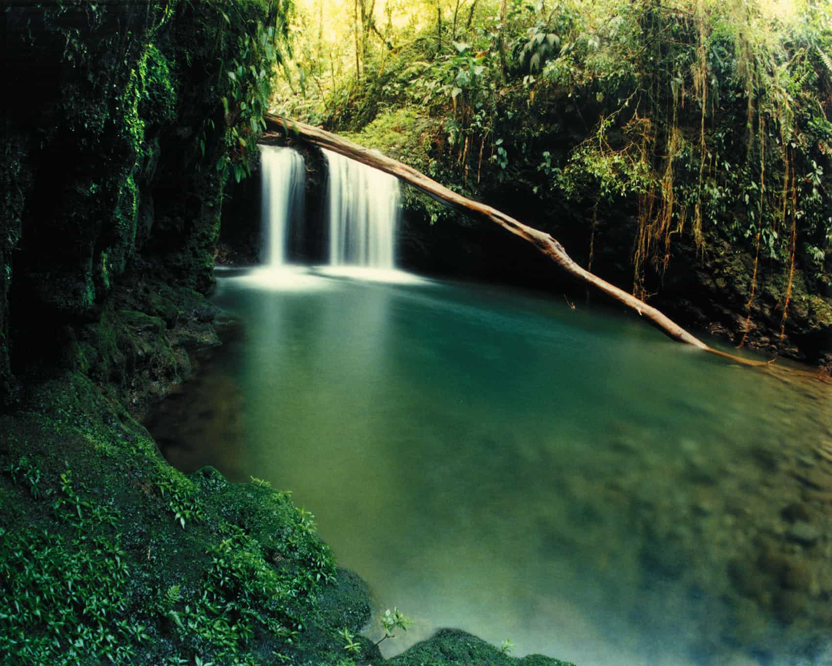 Braulio Carrillo National Park
