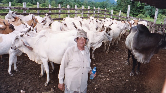 Ramón Machado – Costa Rica killing.